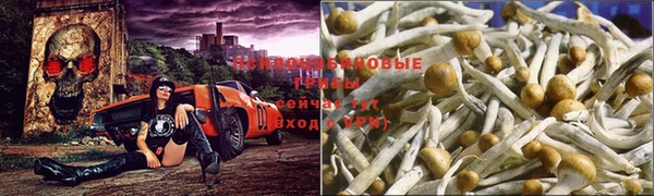 MDMA Premium VHQ Армянск