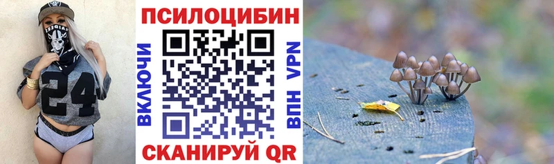 Галлюциногенные грибы Magic Shrooms  мега зеркало  Берёзовский 