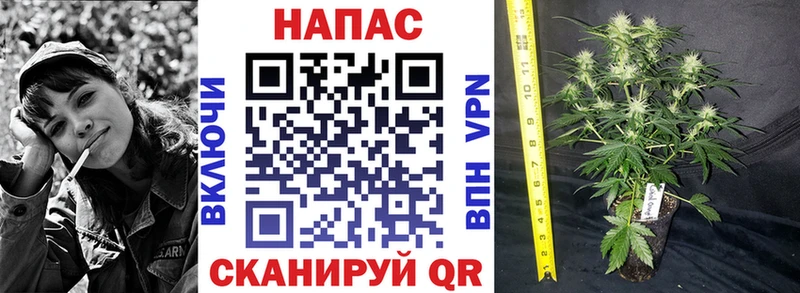 как найти закладки  Берёзовский  Шишки марихуана планчик 